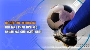 Dữ Liệu của Keonhacai – Soi kèo & thống kê dự đoán chi tiết