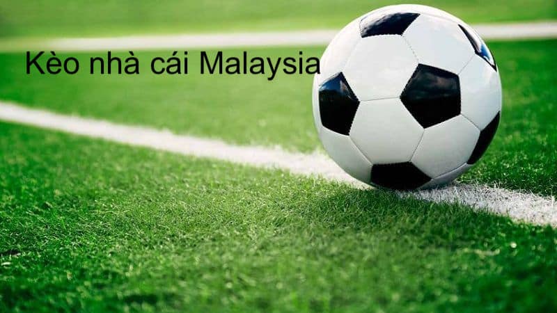 Các cược thủ cần phải nắm rõ được cách đọc và tính kèo Malaysia