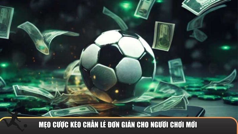 Mẹo cược kèo chẵn lẻ đơn giản cho người chơi mới