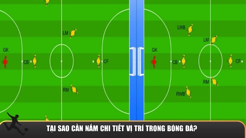 Tại sao cần nắm chi tiết vị trí trong bóng đá?